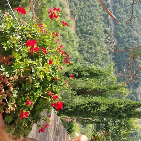 La Codarda Country House Pescosolido Buitenkant foto